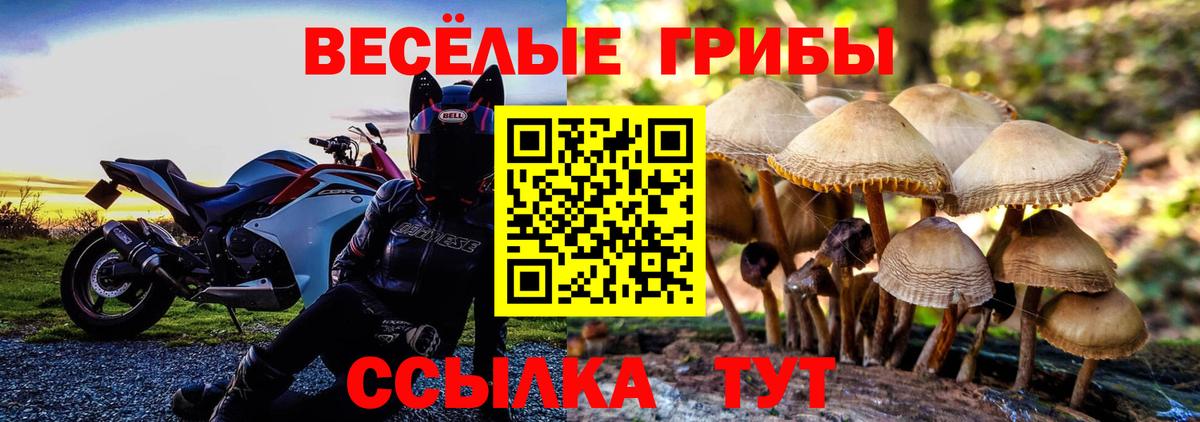 Галлюциногенные грибы Cubensis  наркотики  Вход с VPN  Кстово  Псилоцибиновые грибы мицелий 